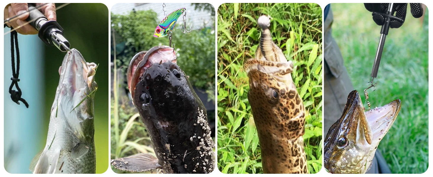 Accesorios de pesca organizados