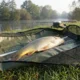 Hirisi Báscula digital para pesaje en pesca de carpa con bolsa - imagen 5
