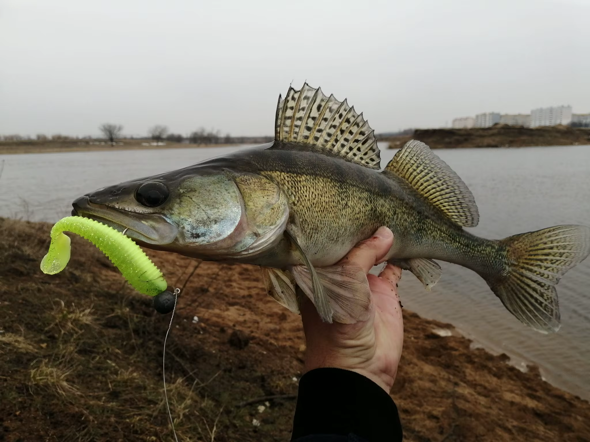 ESFISHING Vibro Fat señuelo silicona artificial lucio 65-125mm - imagen 5
