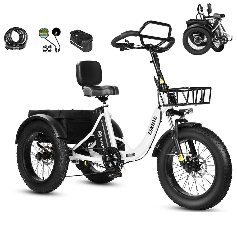 ESKUTE Triciclo eléctrico cargo con batería extraíble y motor 250W - imagen 5