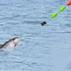 Línea preatada micro para río con anzuelo dorado y flotador de cuentas - imagen 5