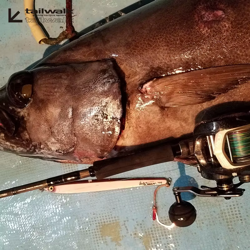 Tailwalk Elan Super Wide Power – Carrete baitcasting de bobina profunda - imagen 4