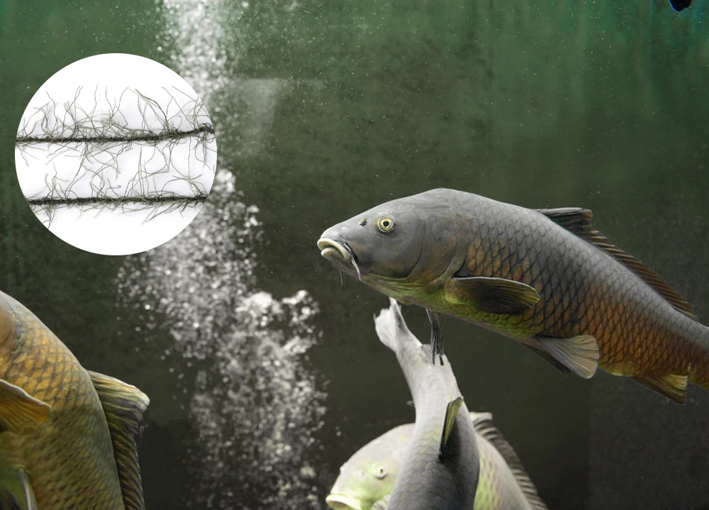 Sedal trenzado FTK en entorno de pesca de carpa