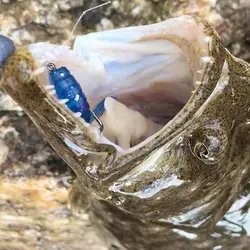 Señuelos micro con aroma para pesca de carpa – Cebo artificial