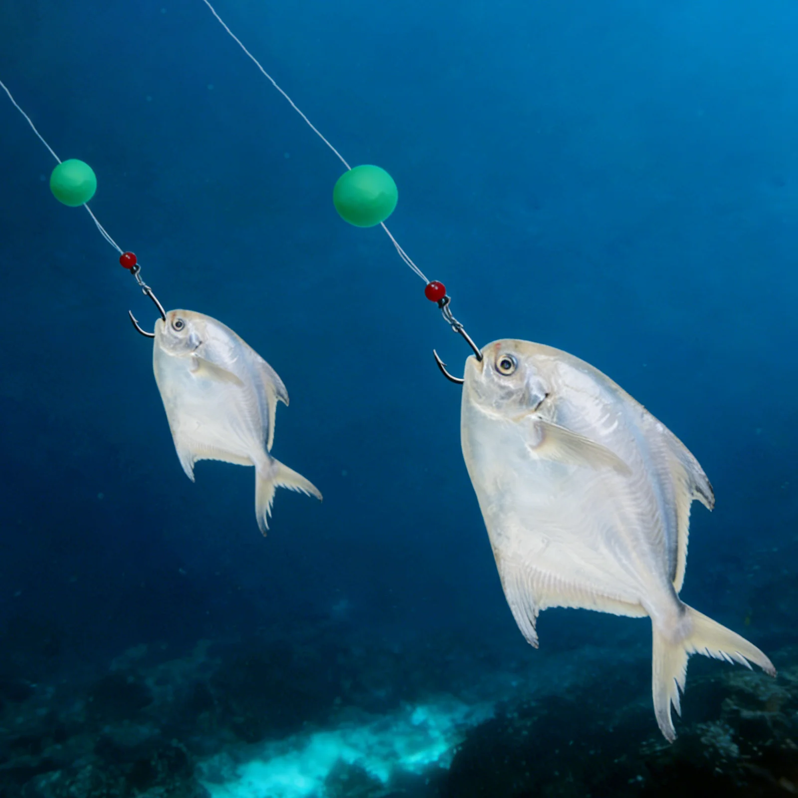Anzuelos circulares del kit para pesca orientada a alta mar