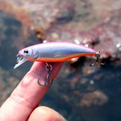 Jerkbait para lucio – Señuelo hundido agua dulce