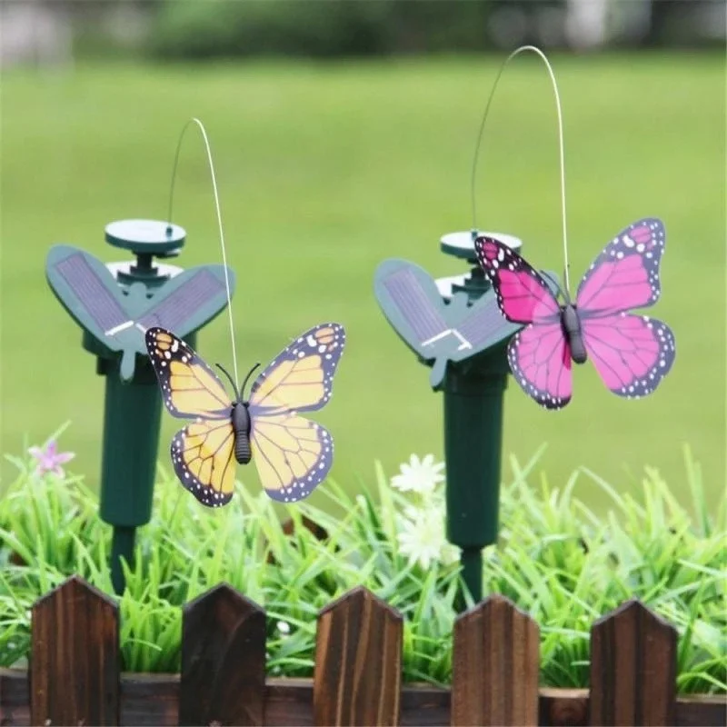 Conjunto decorativo solar