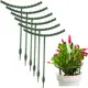 Soporte de plantas semicircular de plástico para invernadero - imagen 2