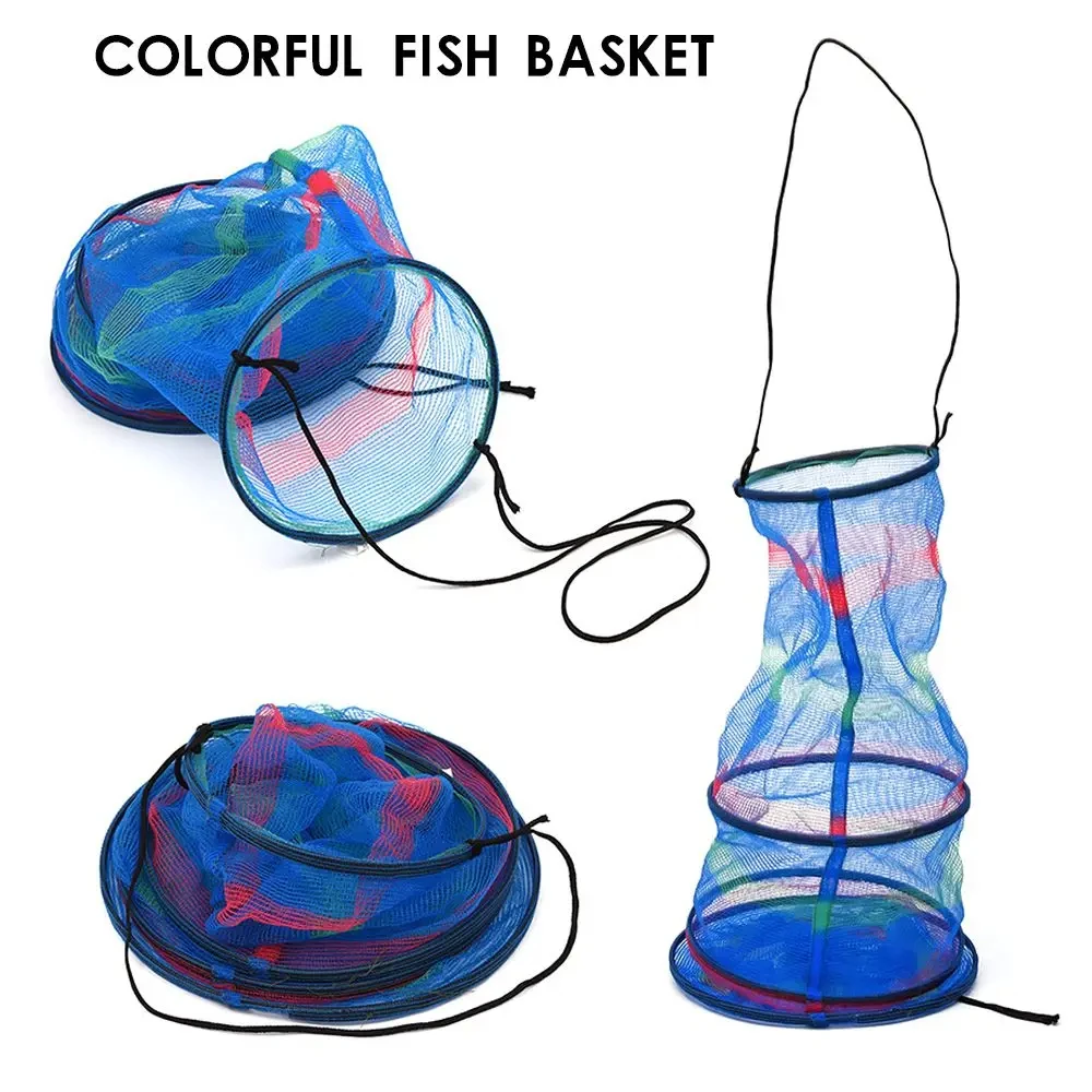 Cesta trampa plegable para cangrejos y camarones – jaula - imagen 4