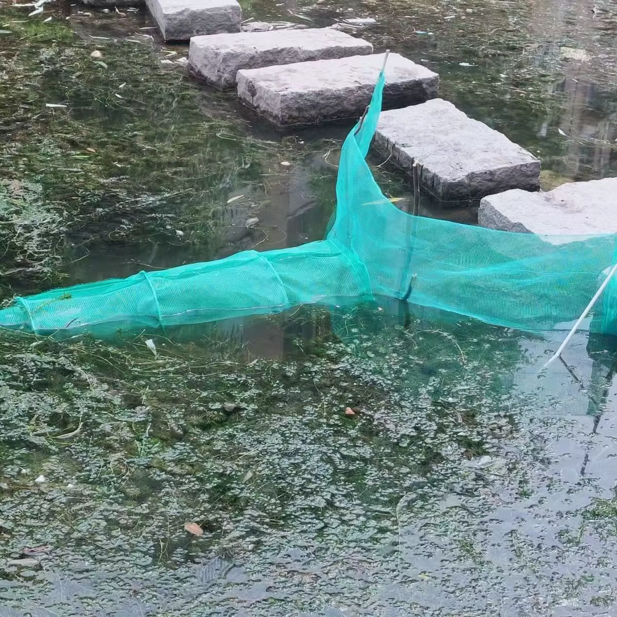 Red de malha automática plegable para pesca - imagen 5