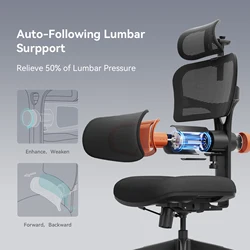 Silla ergonómica NEWTRAL NT001 con soporte lumbar y reposacabezas