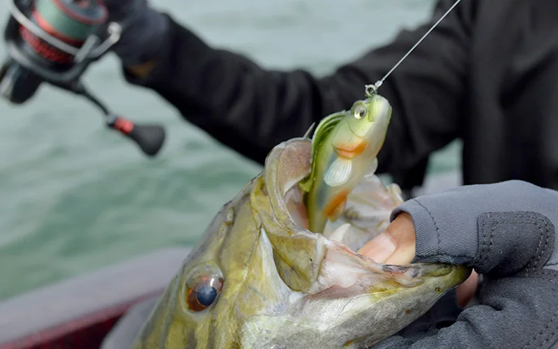 Topline Kit Vinilos Pesca – Swimbait Durmiente Oscuro
