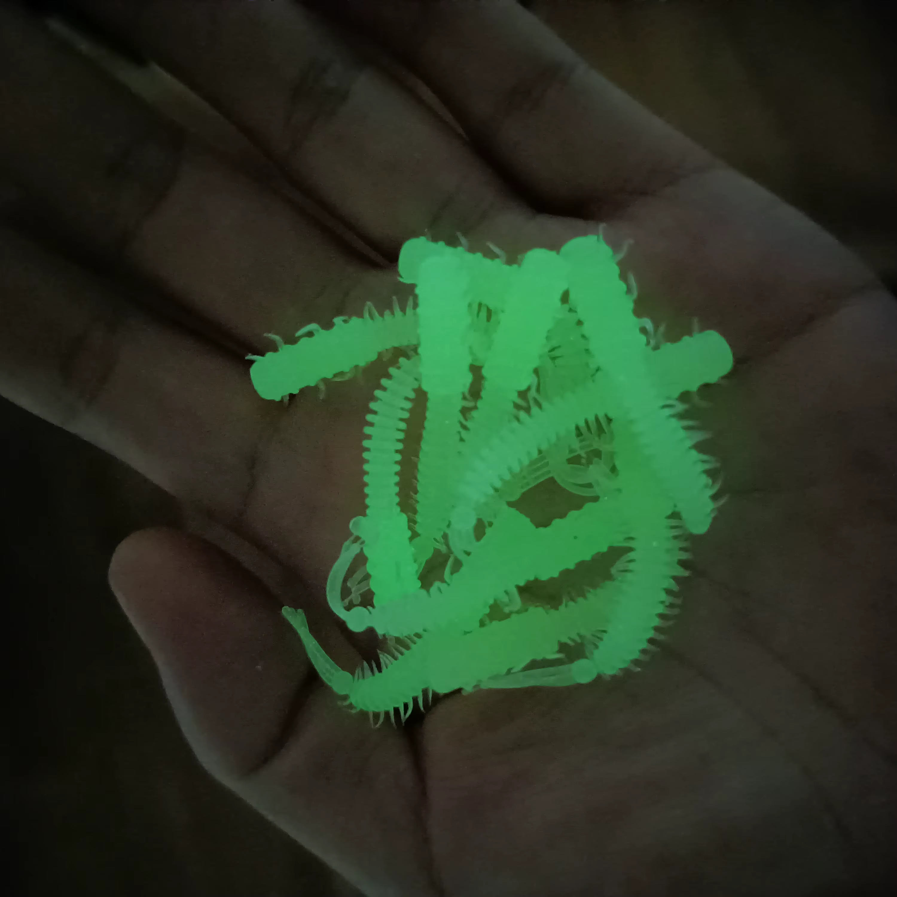 DUODUOYU Mini 45mm - Señuelo wobbler blando para lubina - imagen 5