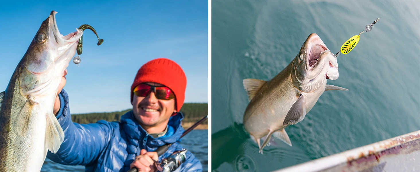 Cabezal jig de pesca Goture