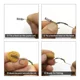 Accesorios pesca carpa: bobinas de pasta para method feeder y fondo - imagen 4
