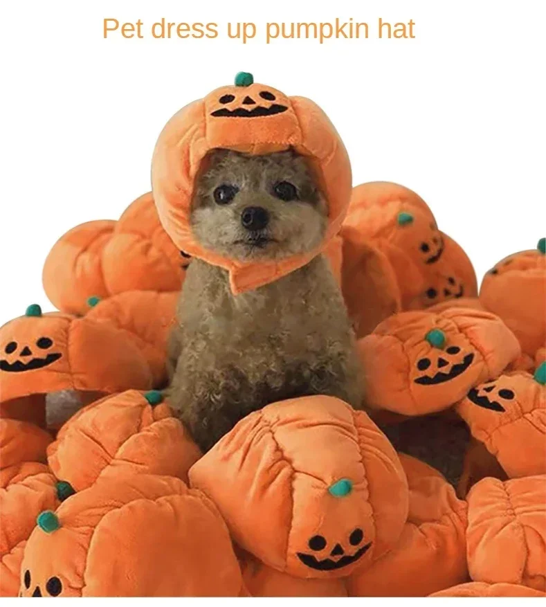 Sombrero de calabaza para mascotas estilo Halloween