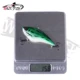 WALK FISH VIB con sonido Crankbait Wobbler de lanzamiento largo