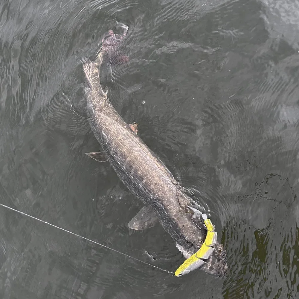 Señuelo swimbait hundimiento Minnow wobbler para lucio y trucha