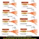 Aorace Señuelos metálicos para pesca de calamar – hundimiento lento - imagen 5