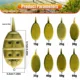 VIKINGAR Molde Method Feeder en línea: lanzador preciso para carpa - imagen 2