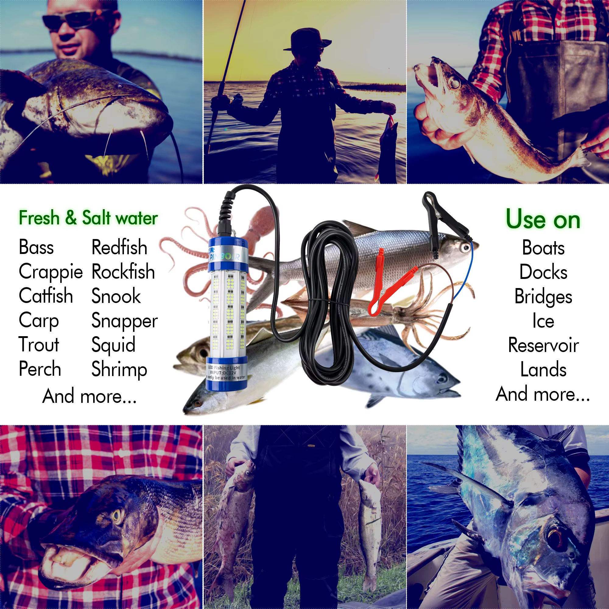 Pinboer Luz Submarina LED 150W – Alta Potencia Sumergible para Pesca - imagen 3