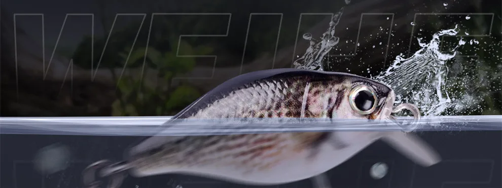 Diseño tipo Minnow del señuelo