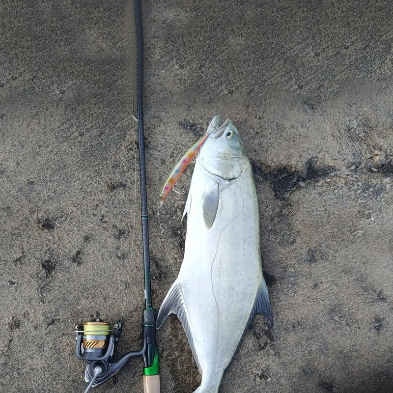 LETOYO Jerkbait flotante para lubina y lucio en mar, imitación pez - imagen 4