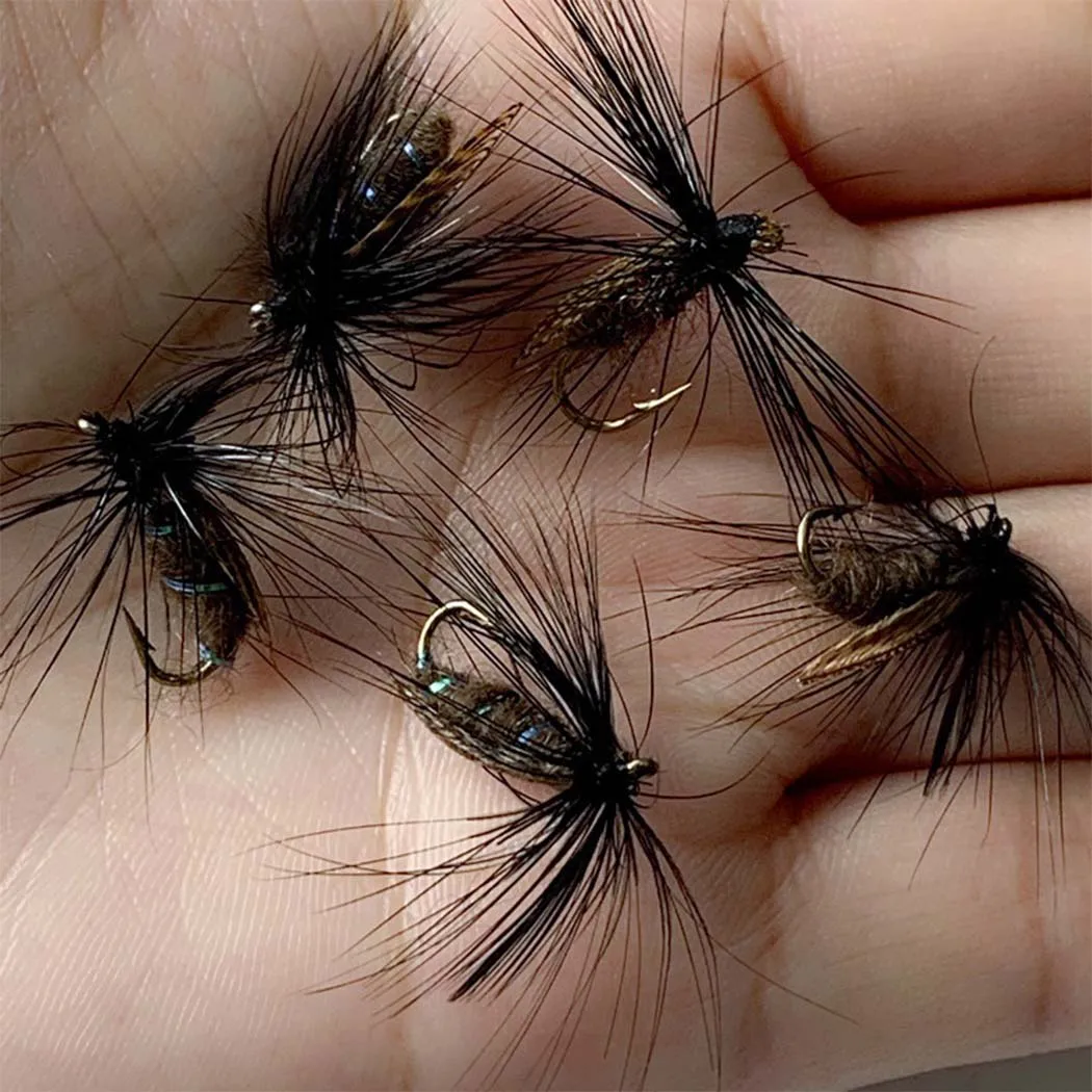 Mosca seca negra de escarabajo, alas pavo real, carpa/trucha - imagen 2