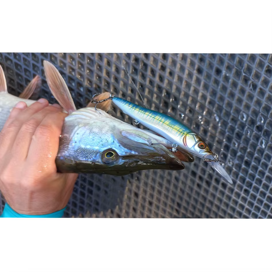 ESFISHING Jerkbait Minnow 11 cm 14 g buceo 0-2,2 m lucio y perca - imagen 5
