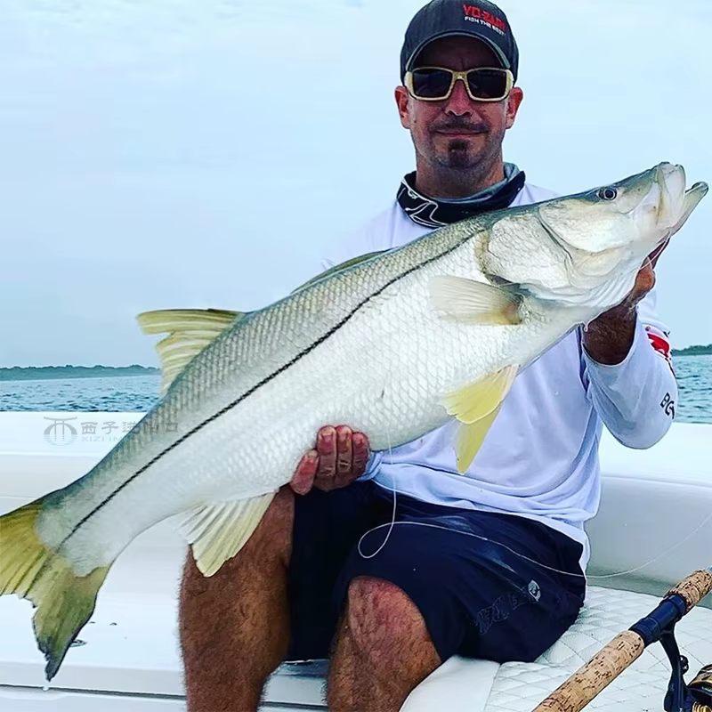 YO-ZURI 3DF1135 Crossbill, Minnow Suspendido para Spinning - imagen 3