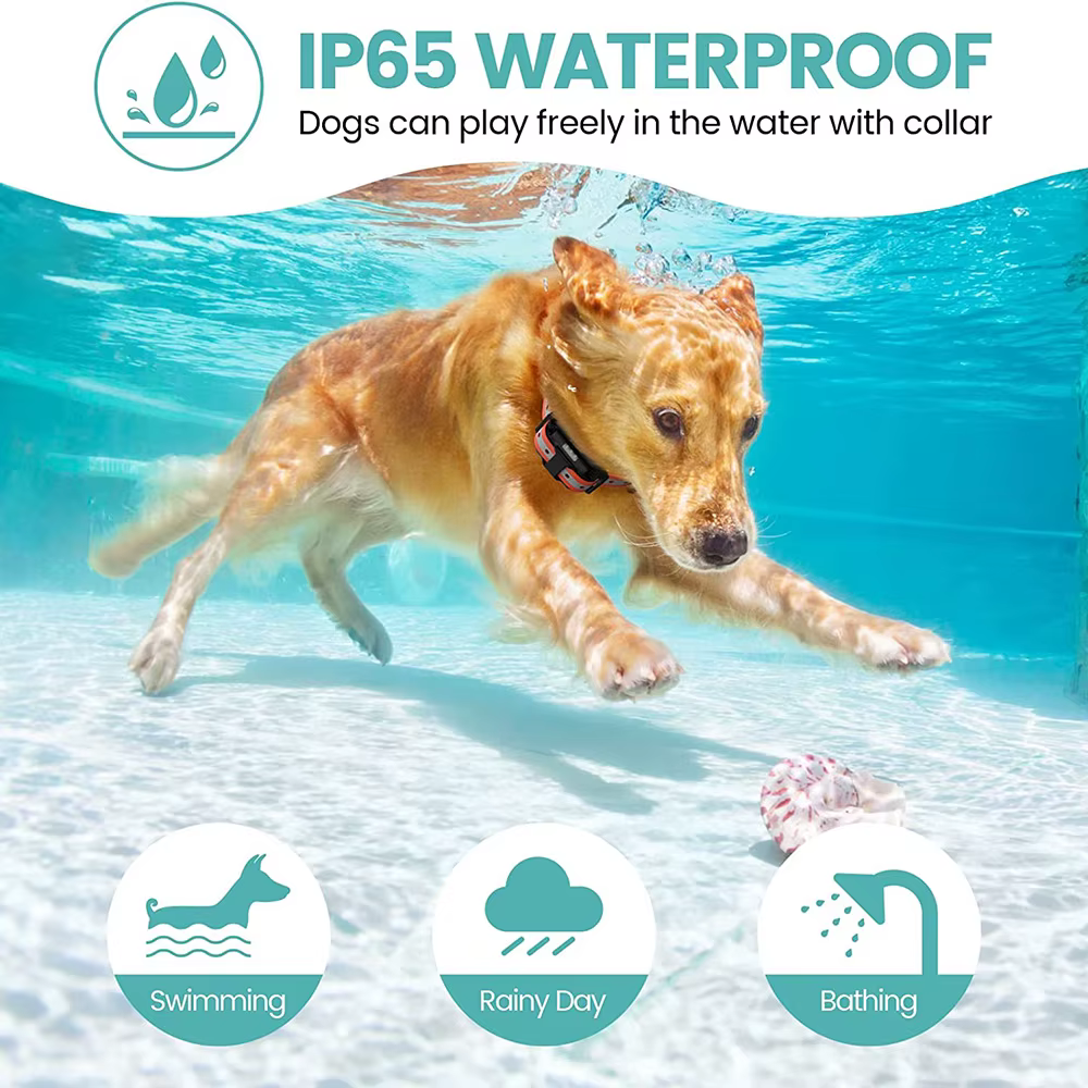 Collar entrenamiento perros remoto 800m – Resistente agua, vibración y choque