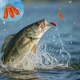 Plomos anillo lastrados para pesca de larga distancia en mar