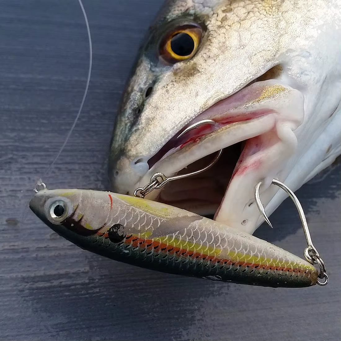 Anzuelos inline hueco ancho FishTrip para grandes depredadores - imagen 2