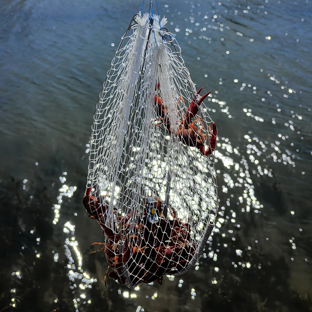 Jaula para cangrejos con muelle, red antimordeduras acero inoxidable - imagen 5
