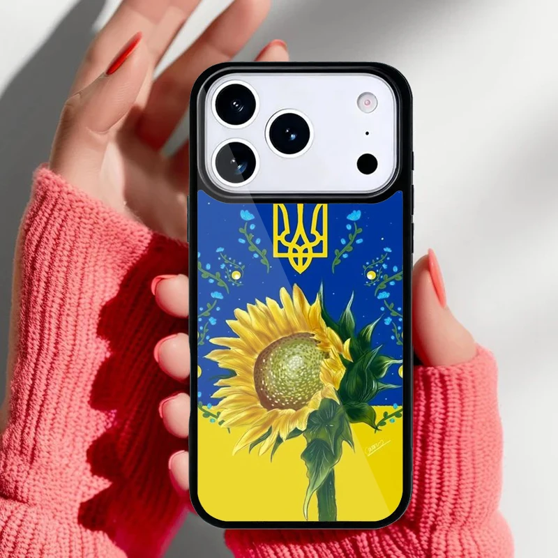 Vista de la funda sobre el teléfono