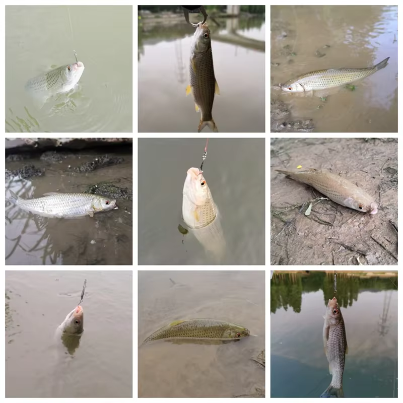 OUTKIT Cuchara de Pesca Cobre - Señuelo Carpa Gancho Rojo - imagen 5