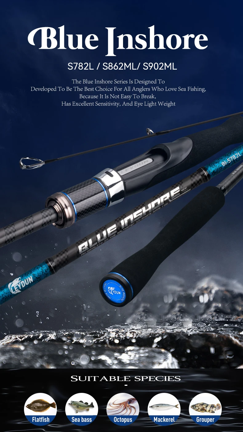 Cañas BLUE INSHORE LEYDUN en agua salada