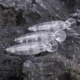 Dr.Holife Mini Minnow señuelo con sonajeros para pesca - imagen 4