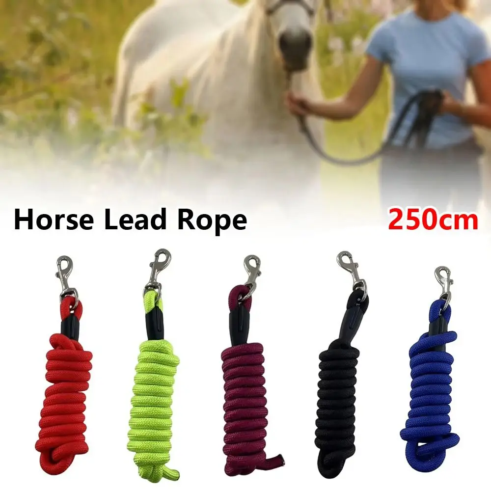 Cuerda ecuestre de entrenamiento para caballo con mosquetón reforzado - imagen 2