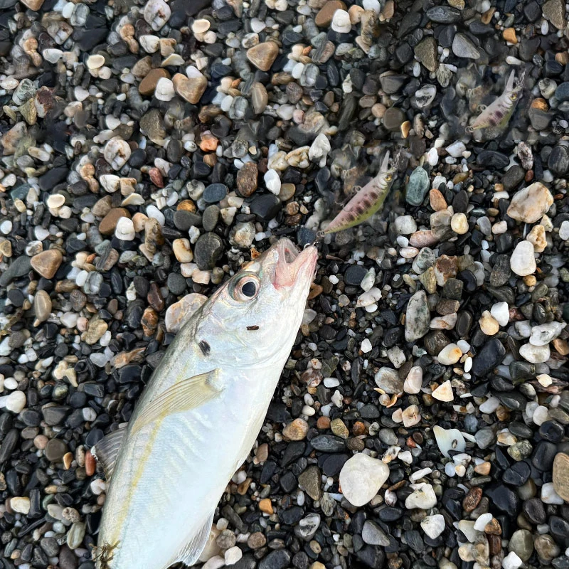 LETOYO Señuelo de superficie pequeño para trucha, jerkbait - imagen 5