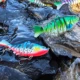 Free Fisher Jerkbait Swimbait multisección hundimiento lento - imagen 5