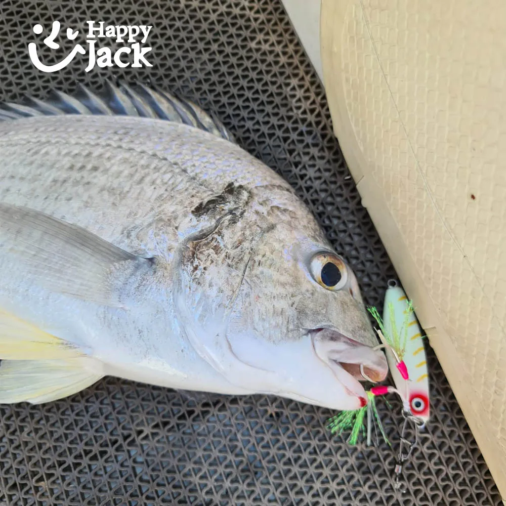 Happyjack Shore Cast – Jig metálico paso lento para costa