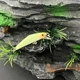 Señuelo Wobbler sinking minnow para trucha y lubina - imagen 4
