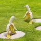 Estatua Pato Forma Plátano, Resina Artística para Jardín