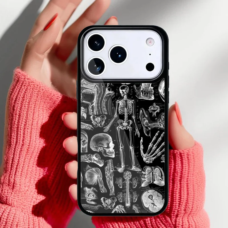 Funda anatómica en uso cotidiano