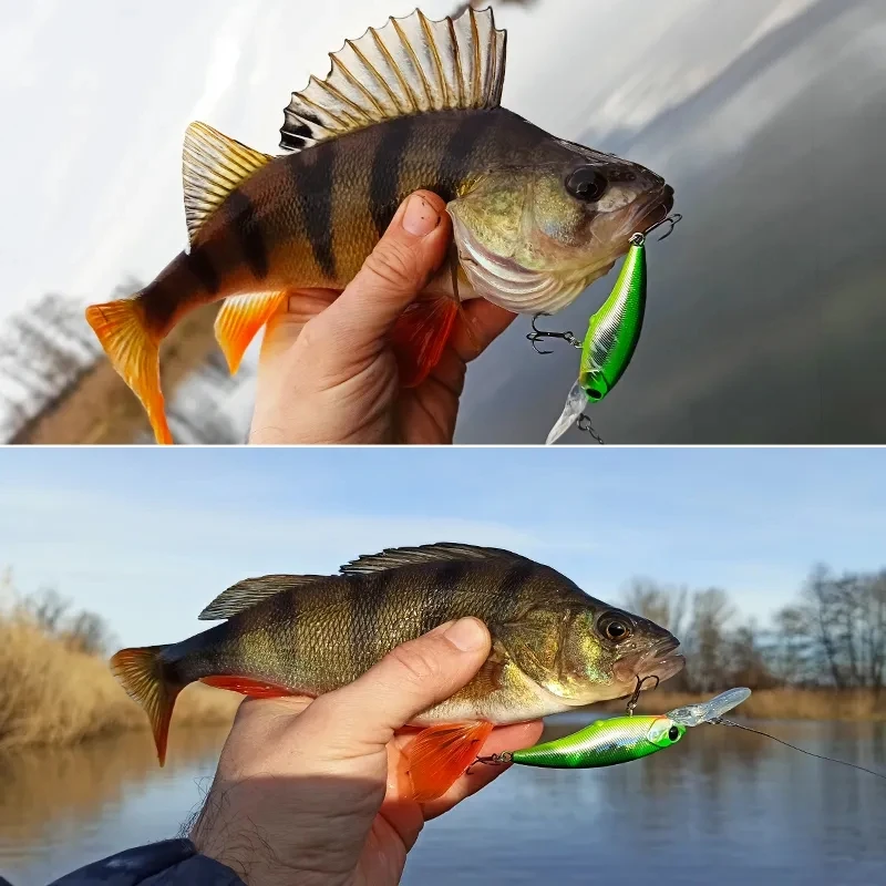 Señuelo Minnow suspendido ojos 3D Tsurinoya para lubina y trucha - imagen 4