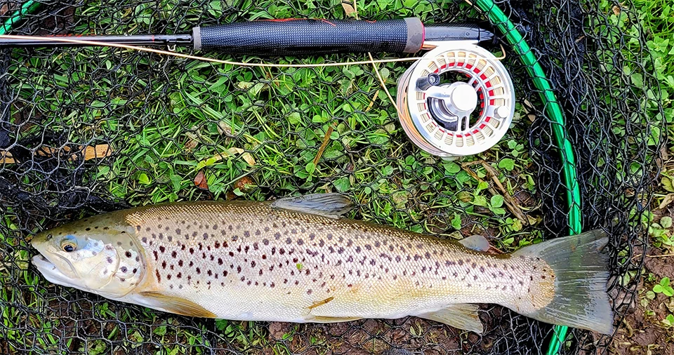 Caña de pescar con mosca ultraligera de 9 pies MAXIMUMCATCH