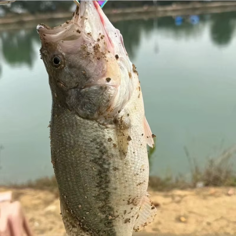 Anzuelos Jigging de Ángulo Recto para Vinilos – Agua Dulce y Salada - imagen 4