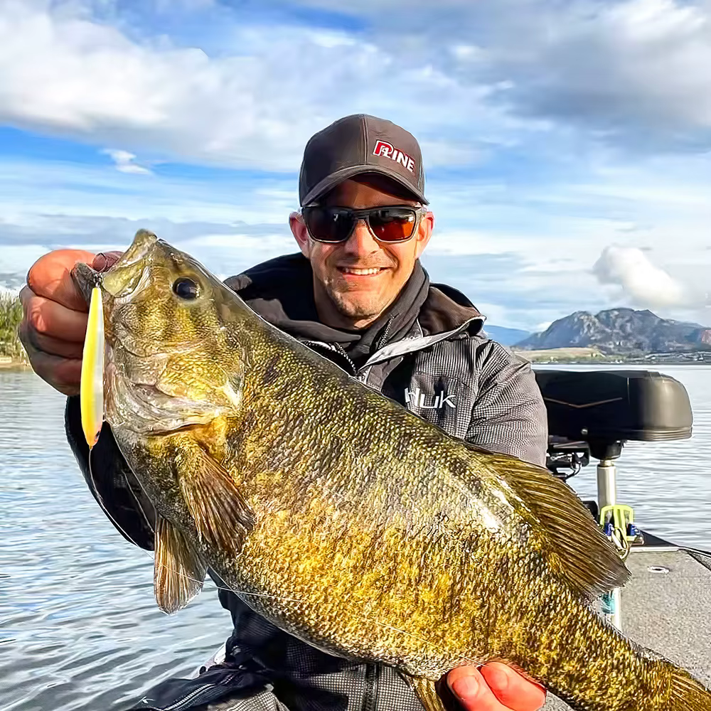 Swimbait Wobbler señuelo de pesca silicona anzuelo triple - imagen 5