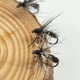 Anzuelos mosquitos imitación pluma negra plateados – alta captura - imagen 2